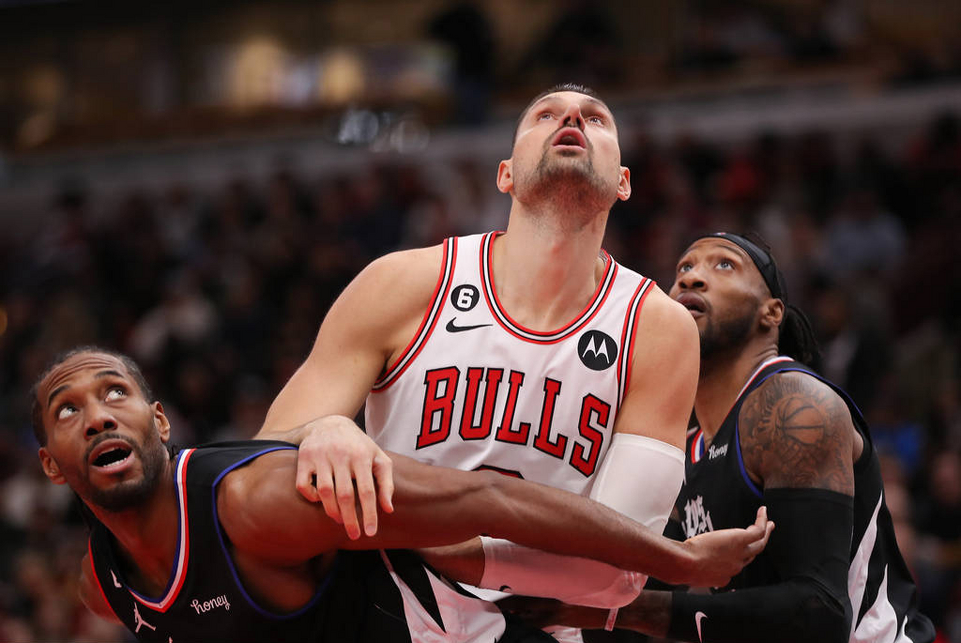 完美世界- 公牛队全明星 